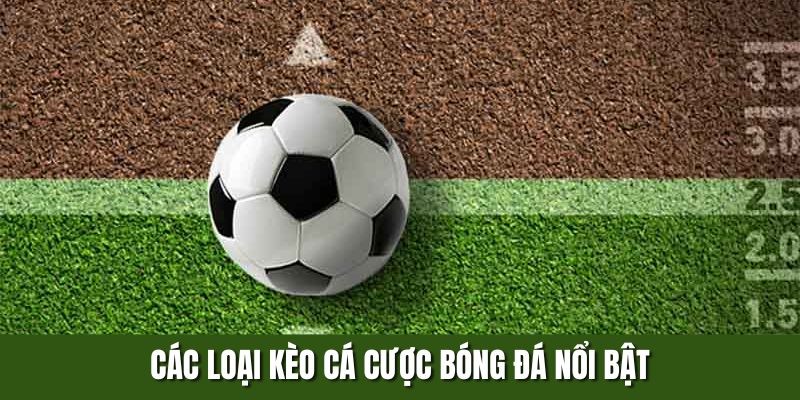 Các Loại Kèo Cá Cược Bóng Đá Nổi Bật Nhất Hiện Nay Từ F8BET